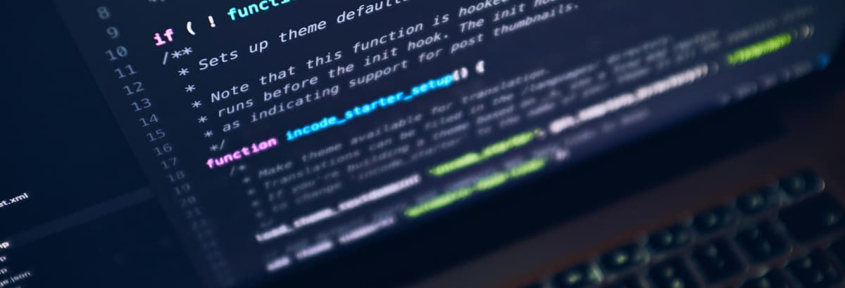 Software Development